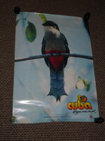 Utazási reklám plakát,poszter,Kuba,ornitológia madármegfigyelés,trogon madár,1990-  , - 95cmx68cm -