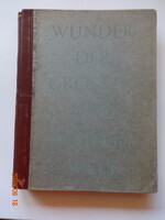 Hans Ludwig Oeser: WUNDER DER GROSSEN UND KLEINEN WELT - antik könyv (1937)