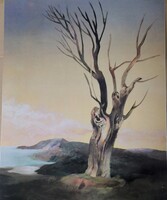 FK/556. – Szász Endre nyomat – 17.
