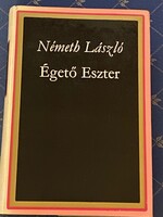 Németh László: Égető Eszter című regénye  Magvető és Szépirodalmi Könyvkiadó Budapest 1971.