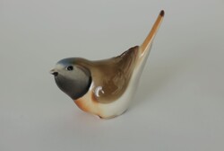 Lomonosov cinege madárka