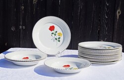 French Sarreguemines rose pattern 16-piece plate set, like new