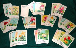 Retro large-based FLOWER QUARTET with green back, game rules as shown in the pictures MINERVA
