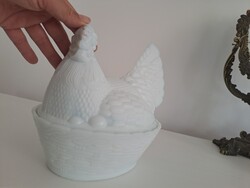 Tejüveg tyúk kínáló