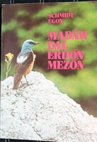 Egon Schmidt – Birdsong in the forest and meadow
