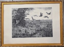 Csisztu Mihály- Fogoly -Vadász rézkarc---