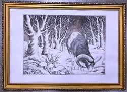 Ábrahám Rafael -Muflon. Vadászati témáju  rézkarc-