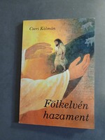 Kálmán Cseri - Rising and Going Home