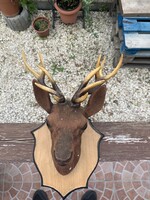 Retro műanyag szarvas trófea