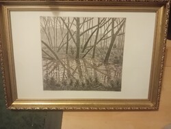 Weisz Zsuzsa rézkarc