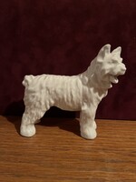 Herendi , Óherendi kutya