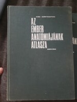 Az ember anatomiajanak atlasza