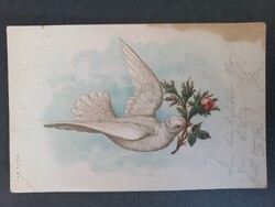 Régi grafikus képeslap fehér galamb rózsával 1901-es bélyegzővel, Liptó-Rózsahegyre küldve