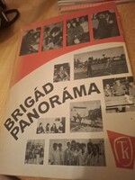 Dr. Újváry György: Brigádpanoráma