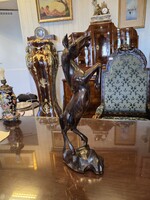 Ébenfa ágaskodó ló fa