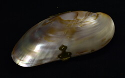 1900 körül ANTIK KAGYLÓ HÁZAS PÉNZTÁRCA !