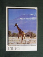 Képeslap,Afrika,Kenya,Kilimandzsáró,zsiráf látkép,részlet 1980-
