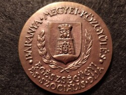 Baranya Megyei Közgyűlés Egészségügyi és Szociális díja 84mm 233g