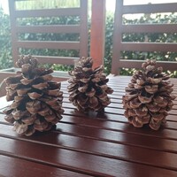 Óriás tobozok- termés, karácsonyi kreatív 3 db