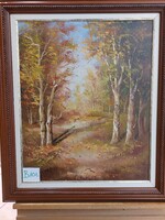FINTA LÁSZLÓ Őszi színek, erdő B101.