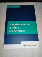 Dr. Palásti Gábor: Nagykommentár a Róma I. rendelethez