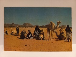 1960-as évekbeli képeslap – Tuareg karaván a sivatagban, Tamanrasset, Algéria