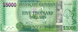 5000 dollár 2013 Guyana