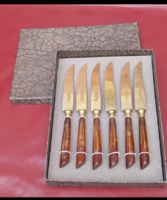 Antik 6 darab "Uchatius Bronceo" gyümölcsöskés szaru nyéllel ,dobozában 20 sz eleje