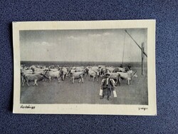 D209314 HOrtobáhy -Gulya   -régi képeslap -1955/57  - Hetényi István bánya tisztviselő DOROG