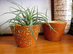 Retro Tófej kaspók - 2 darab