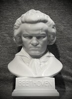 Nagyon szép és első osztályú Herendi mellszobor !