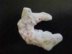 Korall 7 x 6 cm 54 g