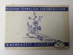 HOGYAN TERMELJÜNK EREDMÉNYESEN A NEMESÍTETT CIKÓRIÁT? - FRANCK KÁVÉSZER MŰVEK RT. KIADÁSA