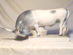 Zsolnay szürkemarha bika