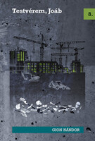 Gion Nándor: Testvérem, Joáb