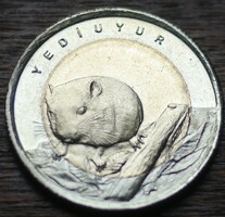 Törökország emlék 1 líra 2016 (Mogyorós pele)