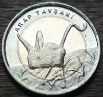 Törökország emlék 1 líra 2016 (Négyujjú Jerboa)