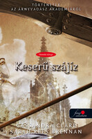 Cassandra Clare; Sarah Rees Brennan: Keserű szájíz