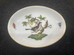 Rotschild madaras tálka