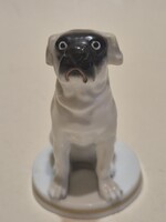Antik Volkstedt porcelán bulldog figura