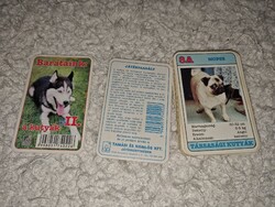 Barátaink: A kutyák II.- retró kártya