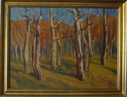 Pogány Géza (1927-2001) - Fehértörzsű fák ( képcsarnokos )