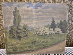 Csermely jános festőművész