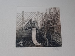 Vén Zoltán rézkarca