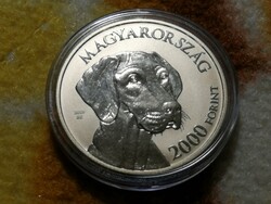 Hungarian Vizsla 2019 2000 Ft unc