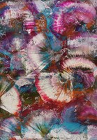 Baján Ildikó festmény 50 x 70 cm. Aurák tánca.