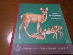 ANYA ÉS GYERMEKE az állatvilágban A képeket rajzolta: RUDOLF ENGEL-HARDT HEINRICH DATHE