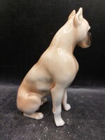 Royal Dux ritka boxer kutya figura porcelánból. 16 cm magas. 4211b