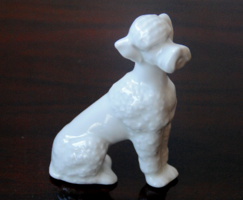 HÓFEHÉR NÉMET PORCELÁN USZKÁR PUDLI KUTYA FIGURA