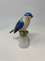 Herendi kék pinty madár jelzett porcelán figura (10.5cm) RZ
